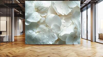 Fresh petals close-up background Wall mural