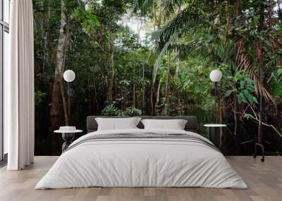 flooded rainforest jungle during the rainy season with beautiful reflection Wall mural