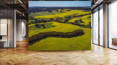 Canola Fields in York Western Australia Wall mural