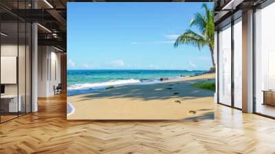 Caribbean beach of Costa Rica close to Puerto Viejo Wall mural