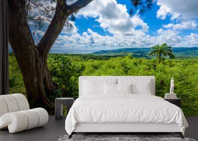 Farley Hill National Park on the Caribbean island of Barbados. It is a paradise destination with a white sand beach and turquoiuse sea. Wall mural