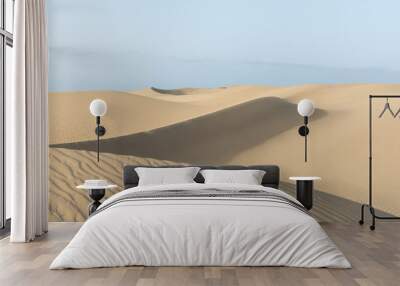 Sahara desert - beautiful landscape with sand dunes Wall mural