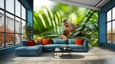 Squirrel Monkey on branch of tree - animals in wilderness Wall mural