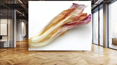 Delicious Endive on a white background Wall mural