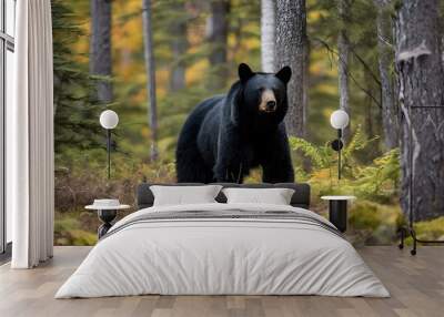 A view of a Black Bear in the forest Wall mural