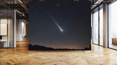 night sky with stars Wall mural