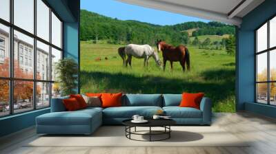 Horses in Field Wall mural