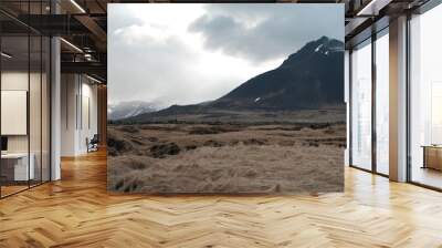 Iceland landscape mountain and sea  Wall mural