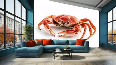 a crab on a white background Wall mural