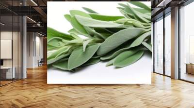 Fresh sage on a white background. Wall mural