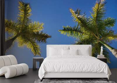 Ground view of two high palms trees and blue sky in background - copyspace concept nature and tropical summer vacation image. sunlight between leaves Wall mural