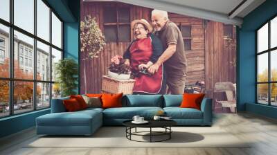 Old couple have fun in the garden playing with a bike together laughing a lot. Playful and youthful old people enjoying outdoors leisure activity. Wooden tiny house in background. Happiness retirement Wall mural