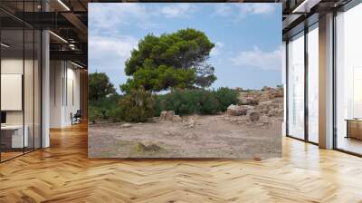 Selinunte, Italy - September 02, 2018: View of selinunte archaeological park Wall mural