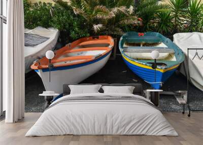 Rowing boats pulled dry on the waterfront with green plants in the background, Genoa, Liguria, Italy Wall mural