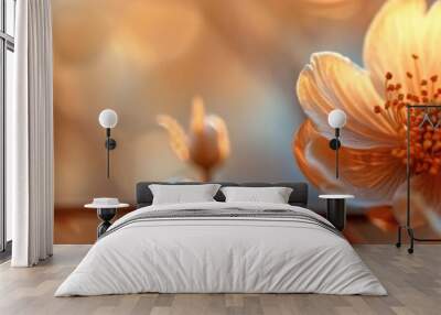 A beautiful flower in full bloom Wall mural