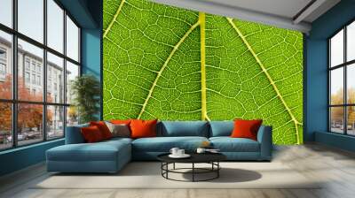 Mulberry leaves are detailed. Use as a design background. Wall mural