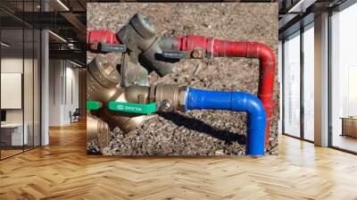 Red and blue water lines with backflow preventer Wall mural