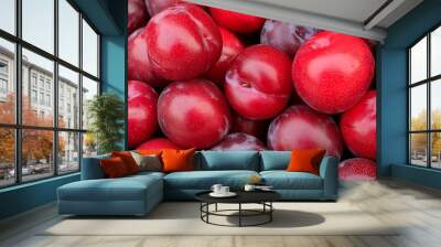 ripe red plum close up background or texture plums harvest many red plums Wall mural