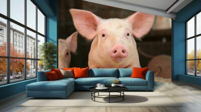 cute pig Wall mural