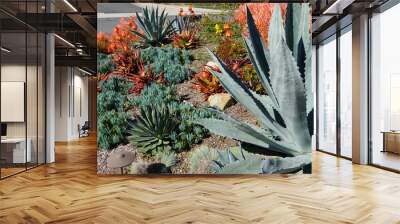 Water-wise landscaping Wall mural