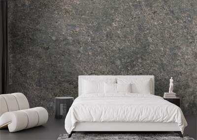 Gray stone texture background. Stone sample from India Wall mural