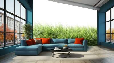 Green grass. Strip of grass side view. 3d Wall mural