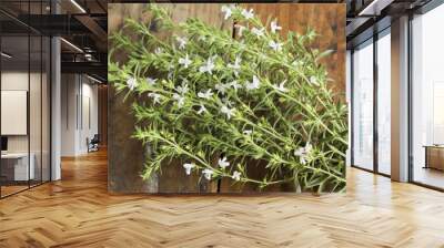 Summer Savory , Satureja Hortensis, Bunch Wall mural