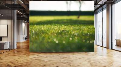 green grass field Wall mural