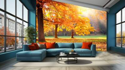 Herbst im Park  Wall mural