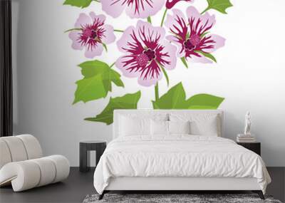 pink flowers mallow with green leaves, isolated on white backgro Wall mural