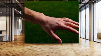 arm and hand veins prominent after sports. young mans hand and arm. Wall mural