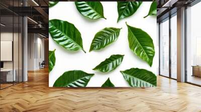 32. High-resolution image of multiple coffee leaves with rich green hues, sharply isolated against a pristine white background, showcasing their intricate patterns and shapes Wall mural