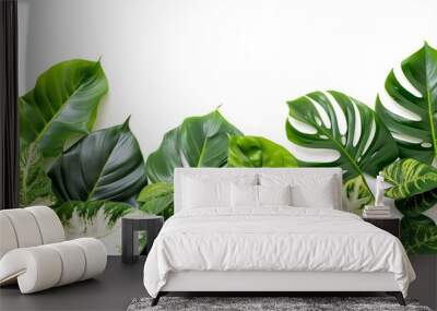 5. Lush variegated leaves of Monstera and Alocasia, forming a tropical foliage frame against a white background, the detailed green and white leaf patterns creating a striking natural border Wall mural