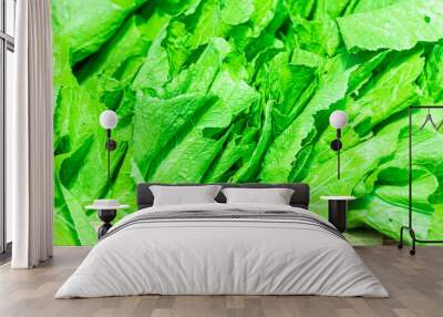 Fresh organic produce from farm Wall mural