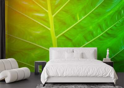 Green leaf with details of leaves for background. Wall mural