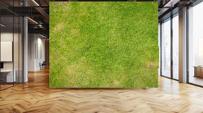 lawn for training football pitch, Grass Golf Courses green lawn pattern textured background, Green grass texture background, Top view of grass garden Ideal concept used for making green flooring. Wall mural