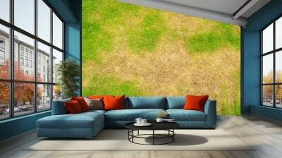 Pests and disease cause amount of damage to green lawns, lawn in bad condition and need maintaining Wall mural