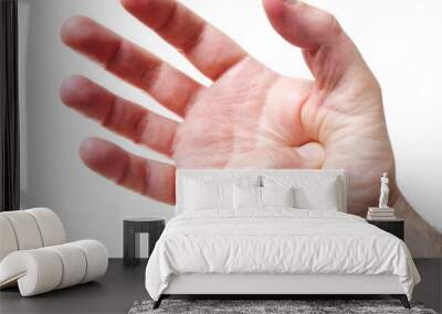 palm acupressure Wall mural