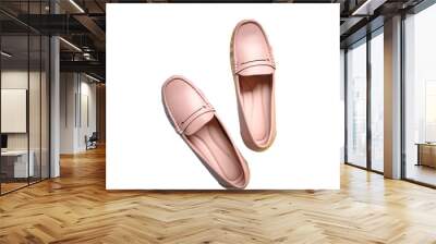 Stylish female shoes in pink. Beauty and fashion concept. Flat lay top view. Isolated.  Wall mural