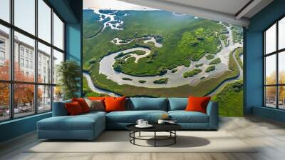 Top View of winding waterways, aerial view of a river delta with lush green vegetation, aerial view of the river Wall mural