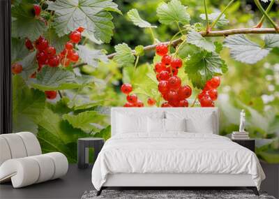 Red currant bush Wall mural