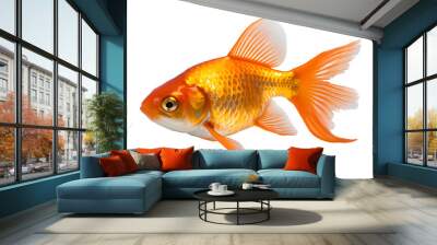 goldfish isolated on transparent background ,ornamental fish png ,generative ai Wall mural