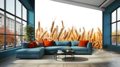 wheat field isolated on transparent background ,wheat field png clip art ,generative ai Wall mural