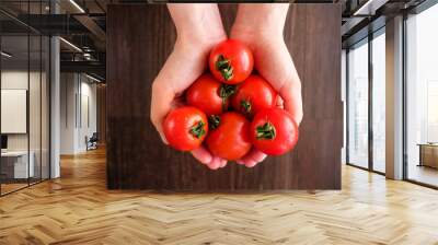 Several red tomatoes in the palms of a girl Wall mural