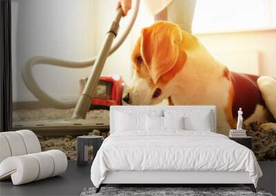 The girl does the cleaning with a vacuum cleaner, next to her is a beagle dog. Wall mural