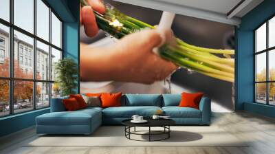 Chef hands, wash spring onion and sink for dirt, virus or bacteria for safety, cooking and meal prep. Person, closeup and cleaning vegetable in water, faucet or kitchen for catering at restaurant job Wall mural