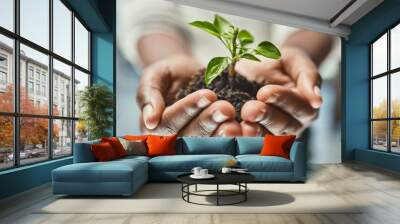 Heres to new beginnings. Cropped shot of an unrecognizable woman holding a plant growing out of soil. Wall mural