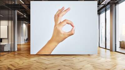 Youre doing just fine. Studio shot of a woman making an a-okay sign with her hand against a grey background. Wall mural