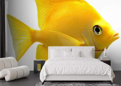 Bright yellow tang with smooth fins isolated on transparent background clipart Wall mural