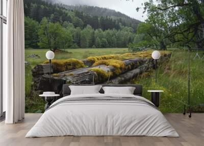 Moss-Covered Wooden Fence in Lush Green Meadow Surrounded by Forested Hills Wall mural